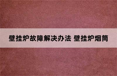 壁挂炉故障解决办法 壁挂炉烟筒